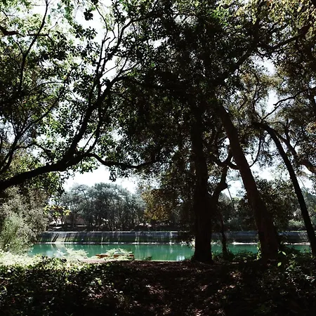 Hotel Les Fougères - Hossegor 3*