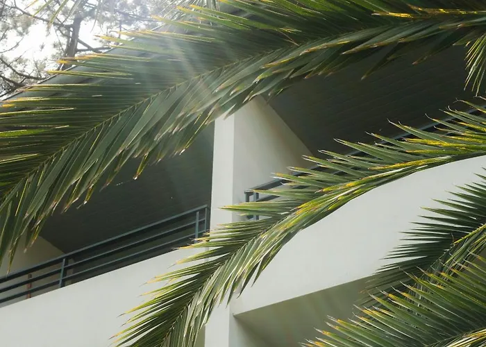 Les Fougeres - Hossegor 3* Soorts-Hossegor